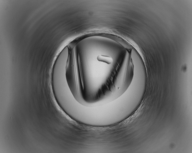 X0000097991389200804211052