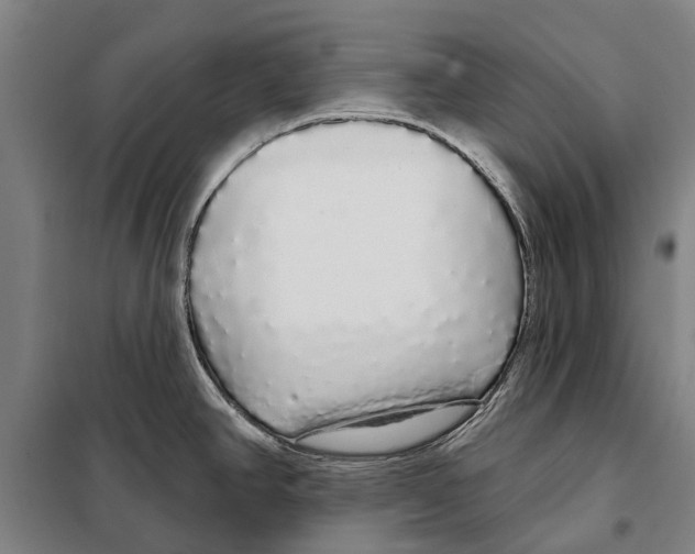 X0000097991390200804211052