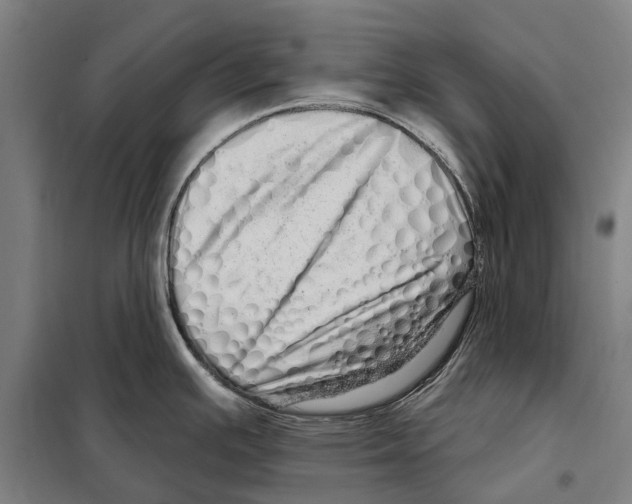 X0000097991391200804211052