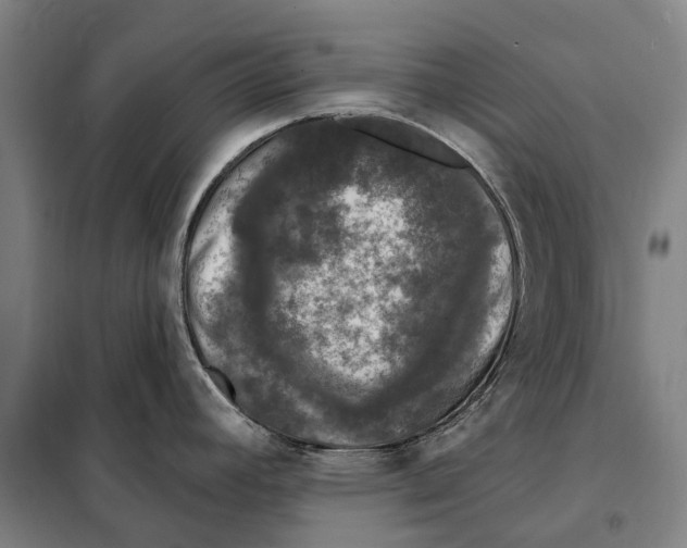 X0000097991392200804211052