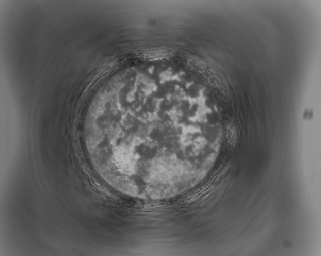 X0000097991393200804211051