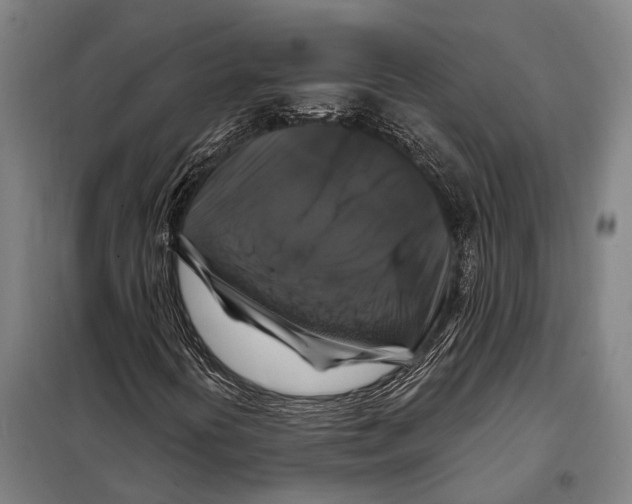 X0000097991394200804211051