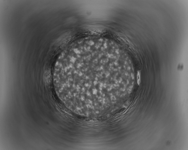 X0000097991395200804211051