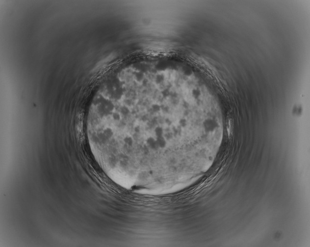 X0000097991396200804211051