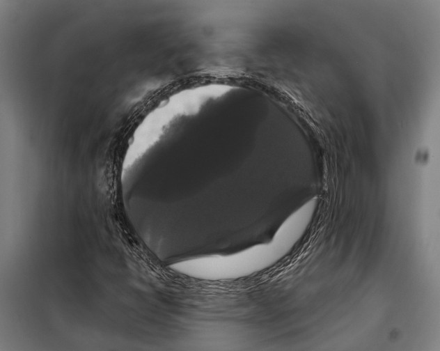 X0000097991398200804211051