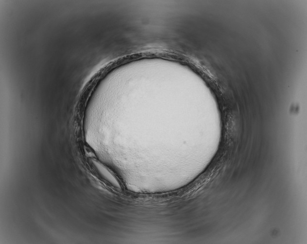 X0000097991400200804211052