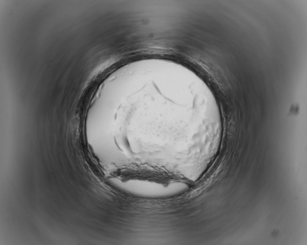 X0000097991402200804211052