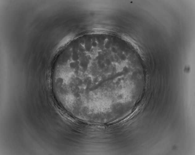 X0000097991403200804211052