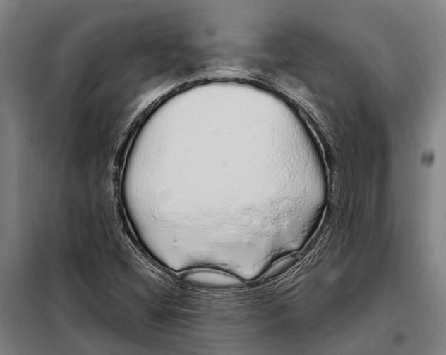 X0000097991404200804211052