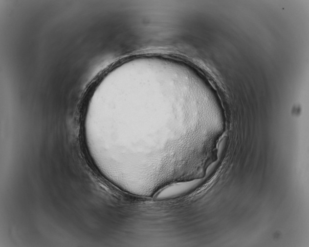 X0000097991406200804211052