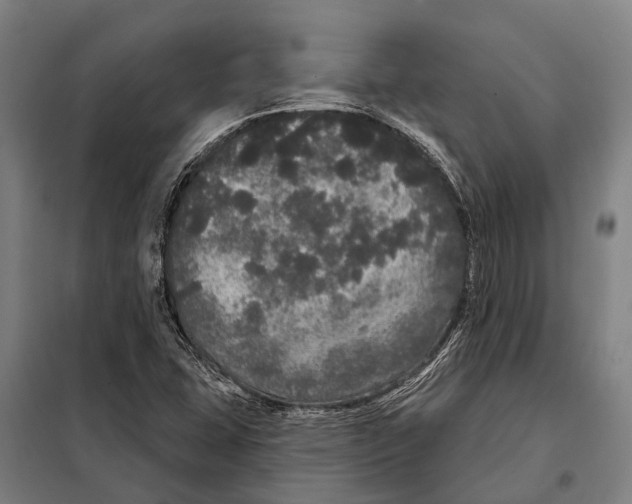 X0000097991407200804211052