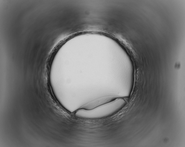 X0000097991408200804211052