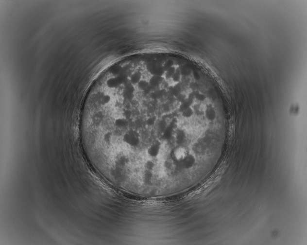 X0000097991409200804211052