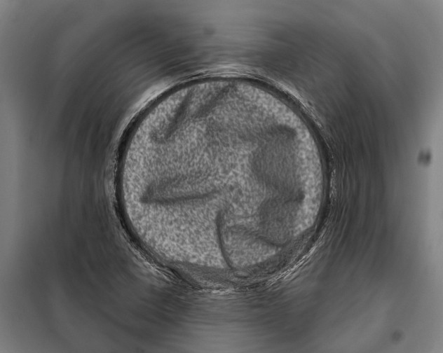 X0000097991410200804211052