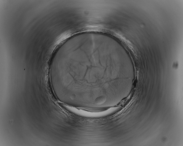 X0000097991411200804211052