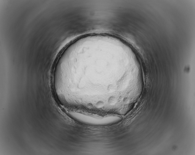 X0000097991412200804211052