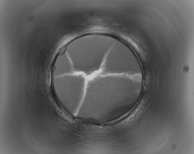 X0000097991413200804211052