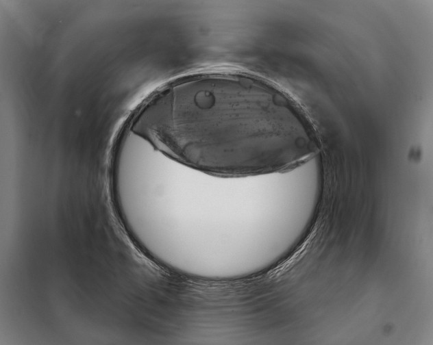 X0000097991414200804211052