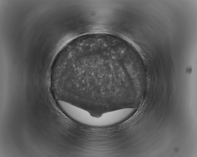 X0000097991415200804211052