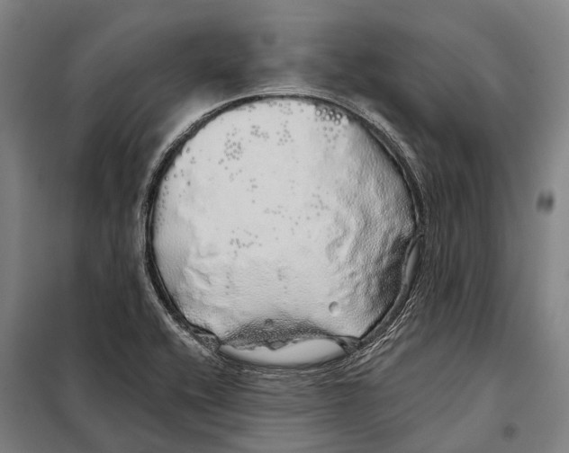 X0000097991416200804211052