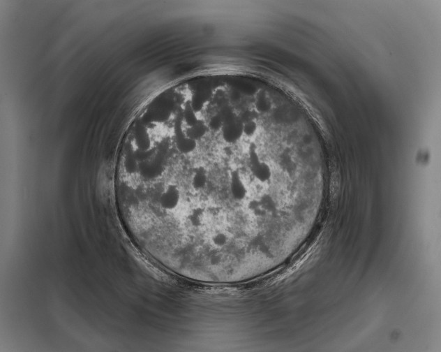 X0000097991417200804211052