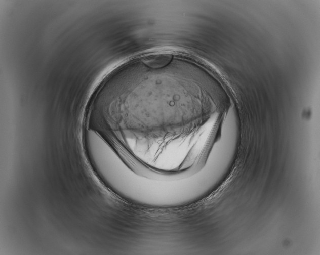 X0000097991418200804211052