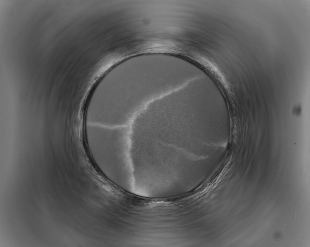 X0000097991419200804211052