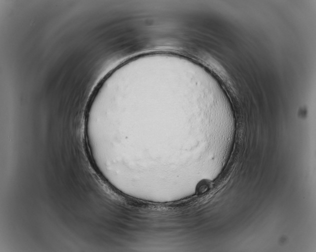 X0000097991420200804211052