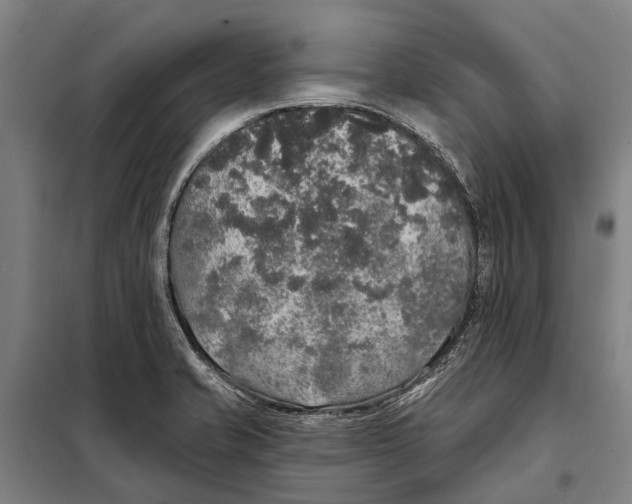 X0000097991421200804211052