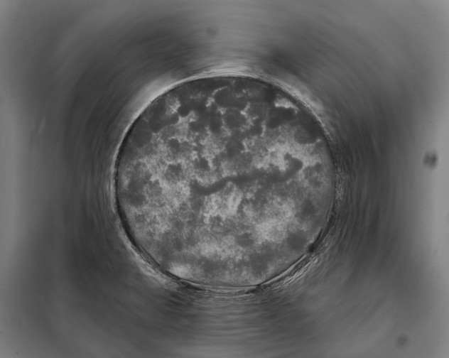 X0000097991423200804211052