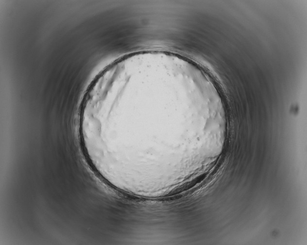 X0000097991424200804211052