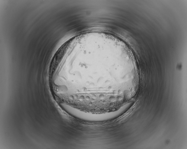 X0000097991426200804211052