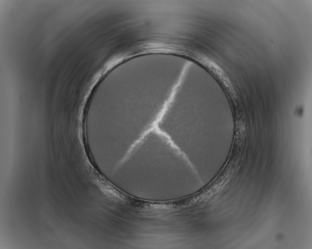 X0000097991427200804211052