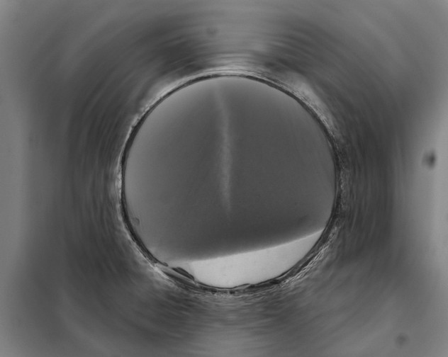 X0000097991428200804211052