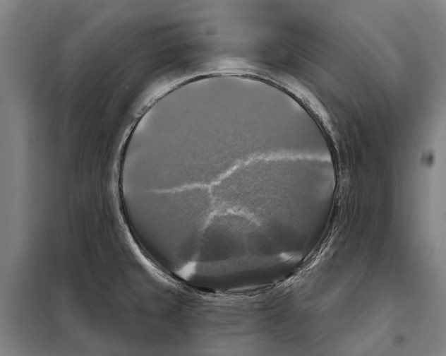 X0000097991429200804211052