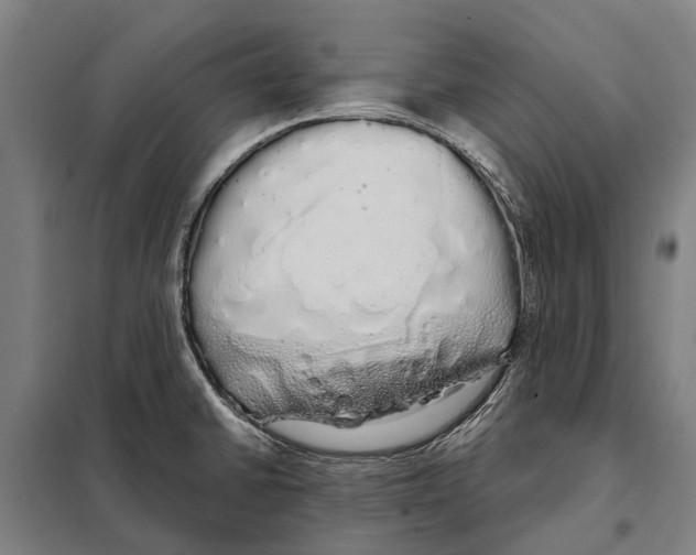 X0000097991430200804211052