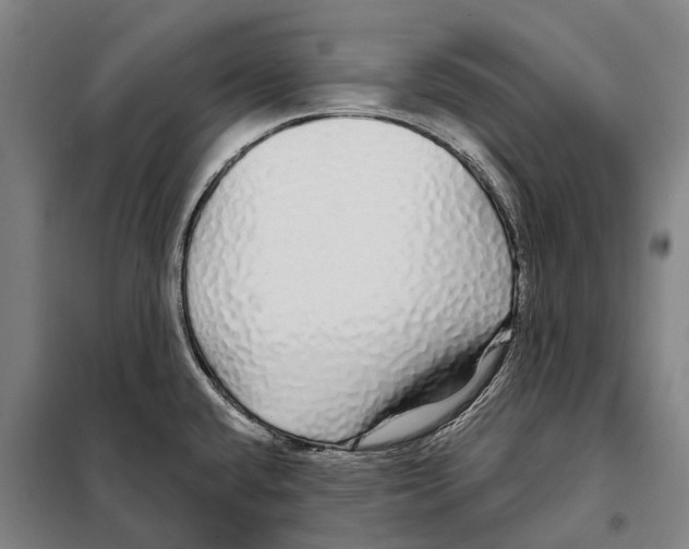 X0000097991432200804211052