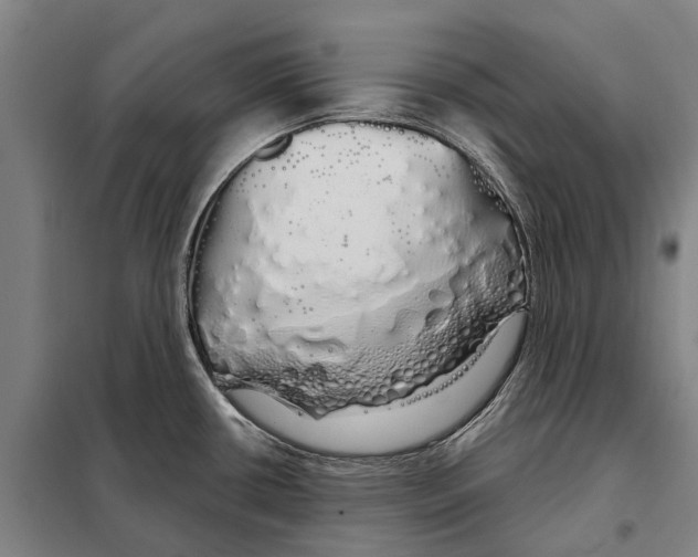 X0000097991434200804211052