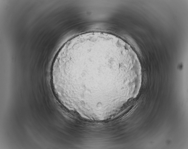 X0000097991435200804211052