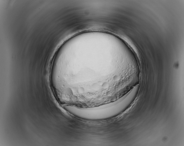 X0000097991437200804211052