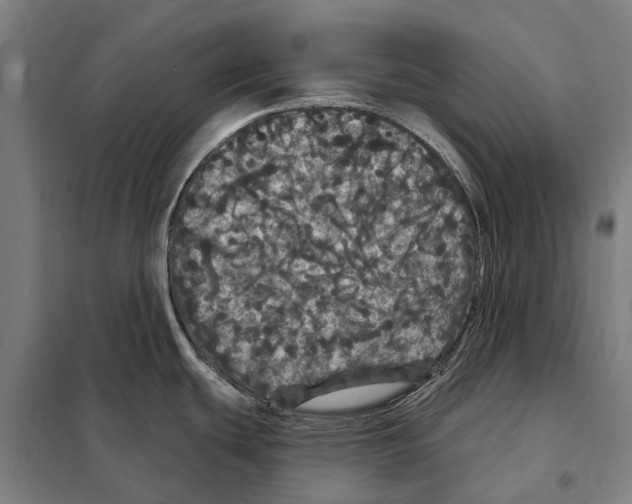 X0000097991439200804211052