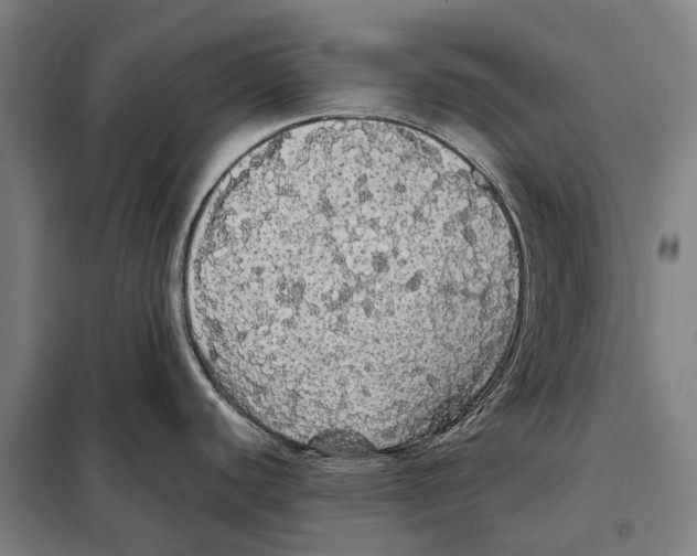 X0000097991440200804211052