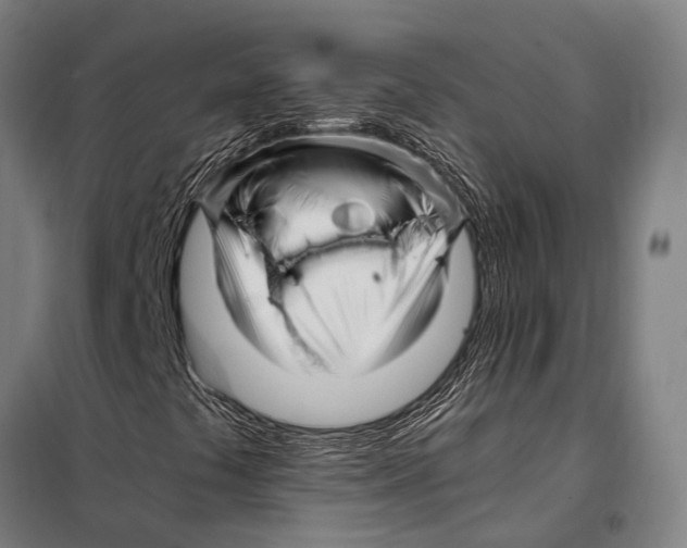 X0000097991441200804211051