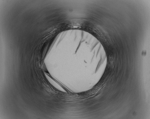 X0000097991442200804211051