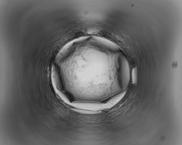 X0000097991443200804211051