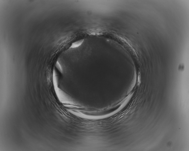 X0000097991444200804211051