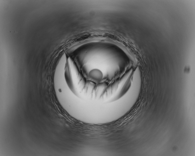 X0000097991445200804211051