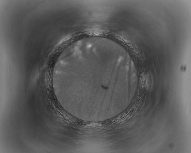 X0000097991446200804211051