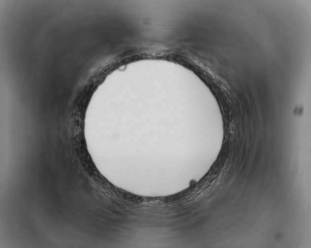 X0000097991447200804211051