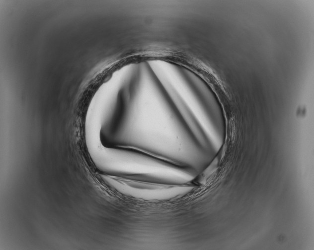 X0000097991448200804211051